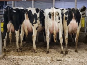 57th Anniversary Sale at Walker Dairy Sales Inc