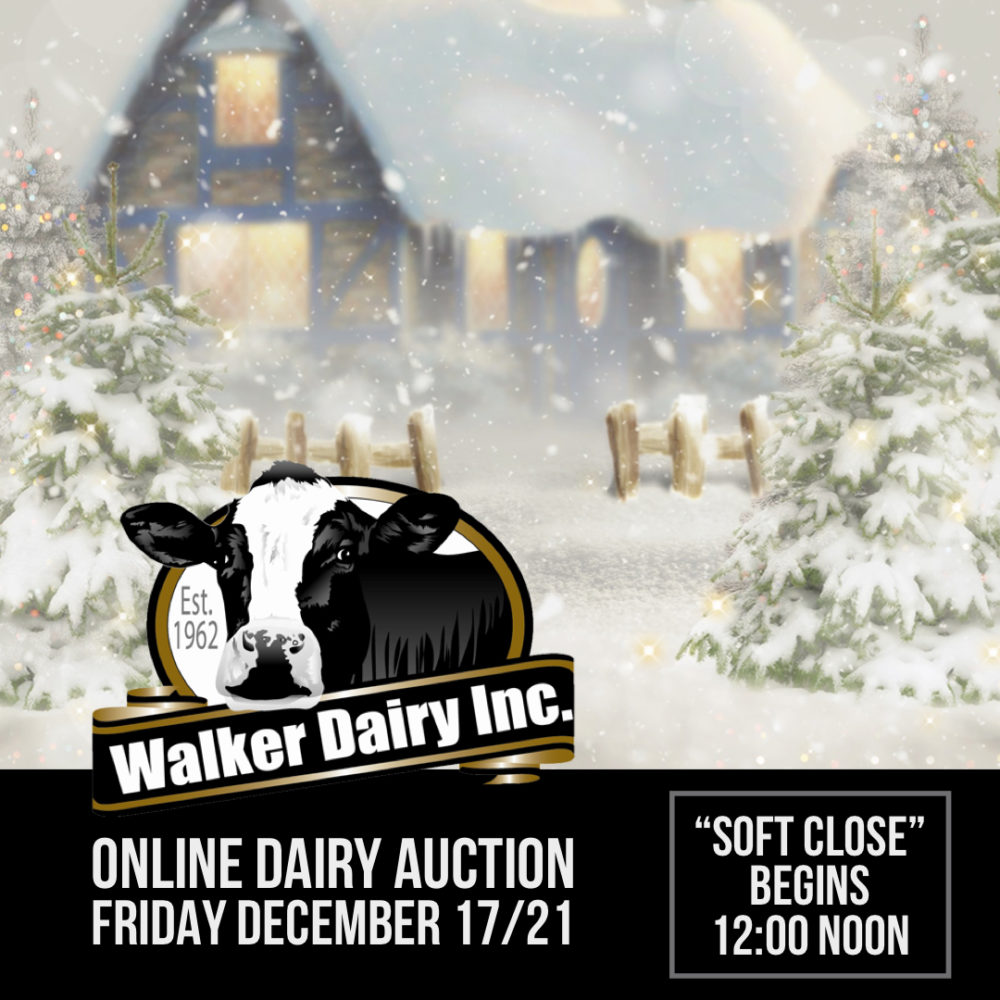 Previous Auctions Walker Dairy Sales