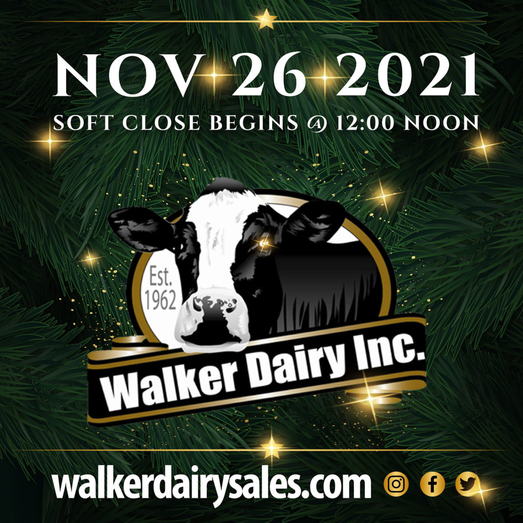Previous Auctions Walker Dairy Sales