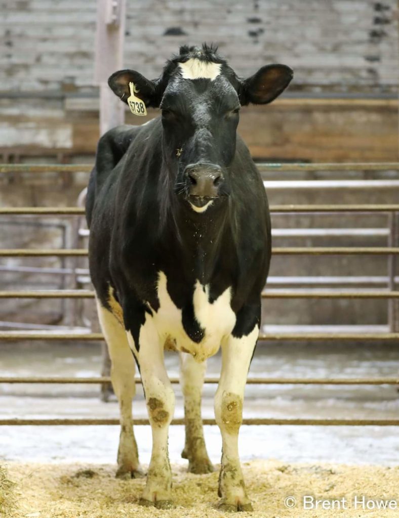Walker Dairy Sales Walker Dairy Sales Hardwork • Honesty • Integrity
