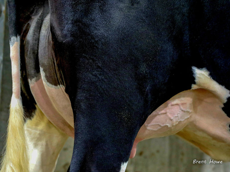 Walker Dairy Sales Walker Dairy Sales Hardwork • Honesty • Integrity