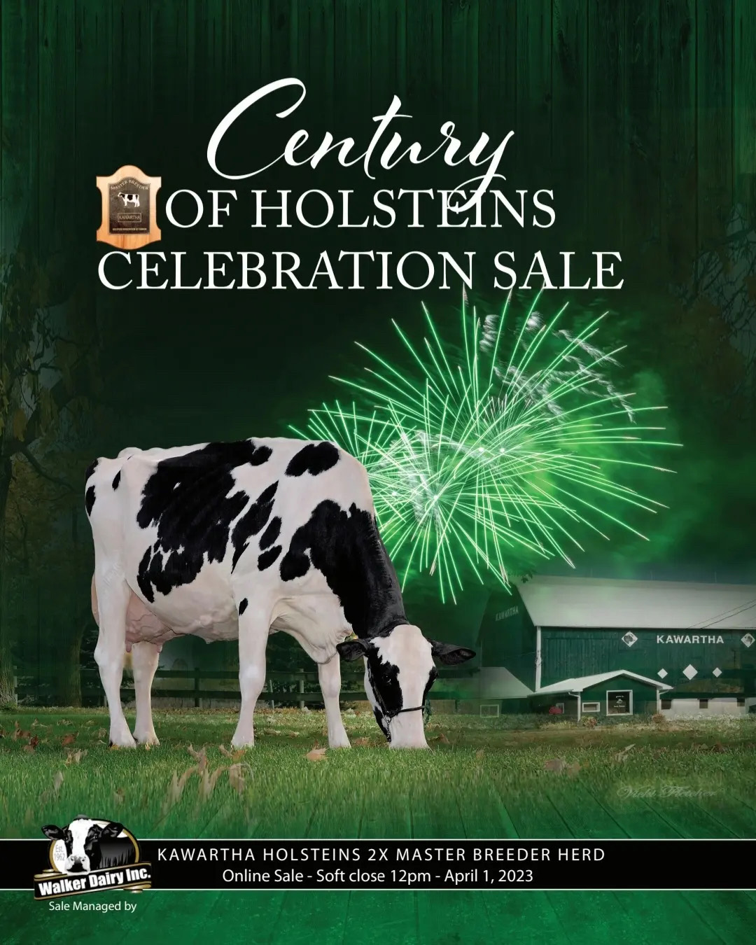 Century of Holsteins Celebration Sale - walker dairy sales