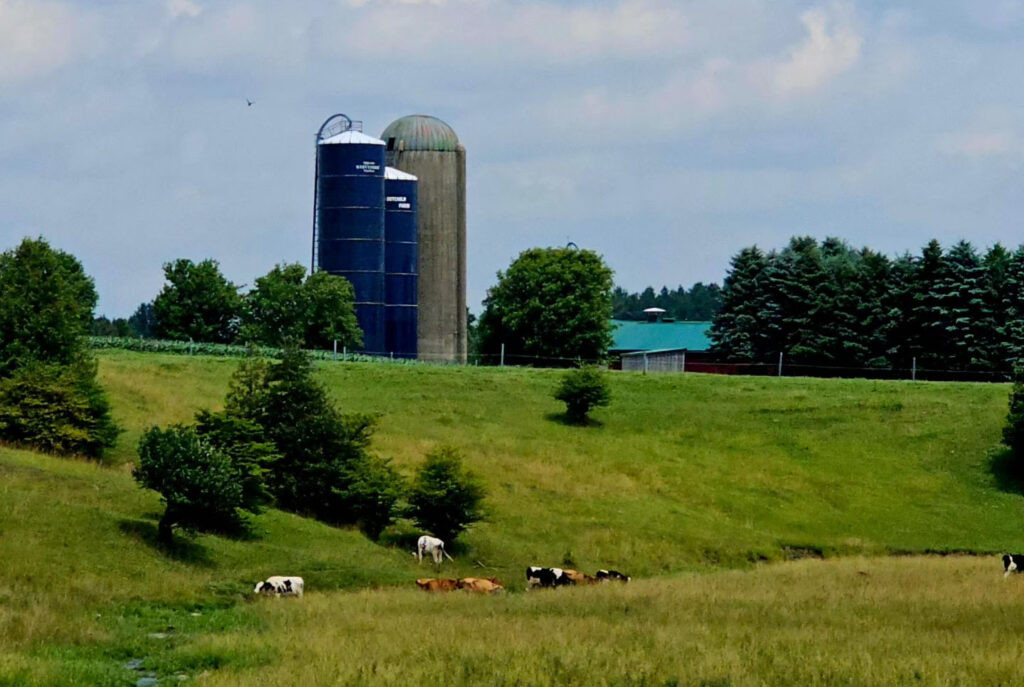 MILKY HILLS FARM - walker dairy sales