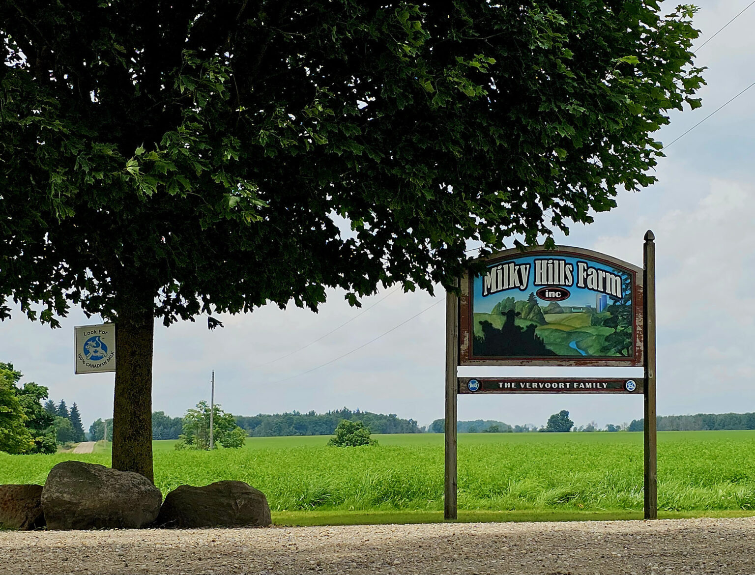 Previous Auctions Walker Dairy Sales
