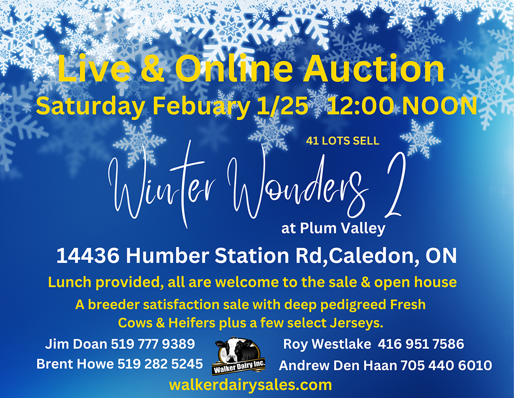 Sat Feb 1, 2025 walker dairy sales - winter wonders 2 at plum valley