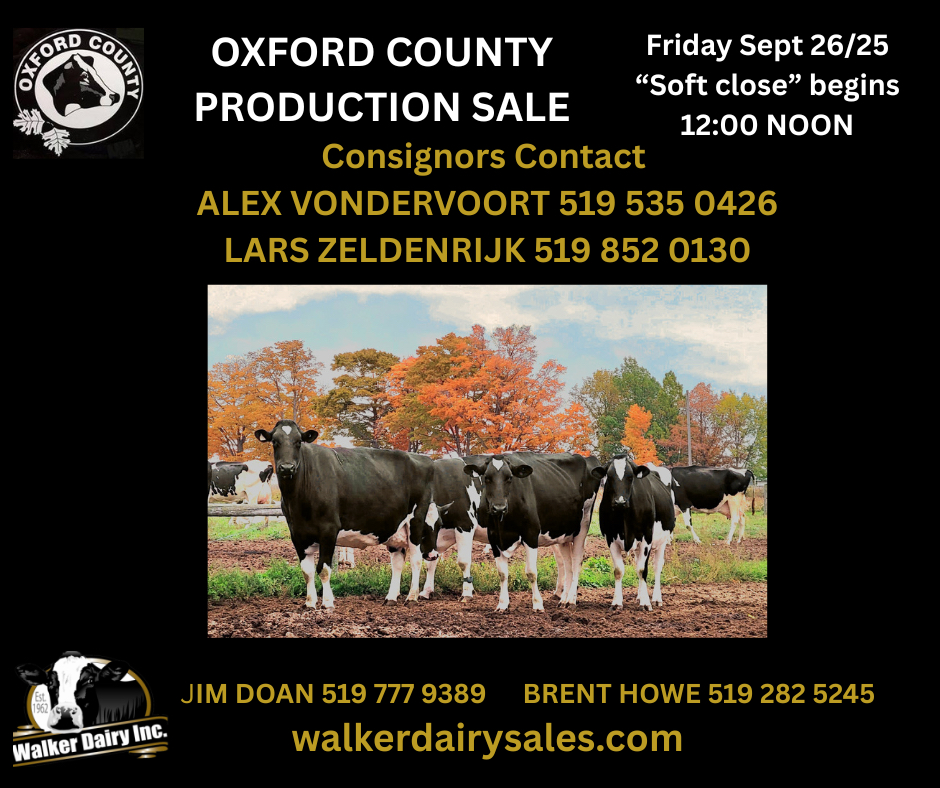 Oxford County PRODUCTION sALE - 1