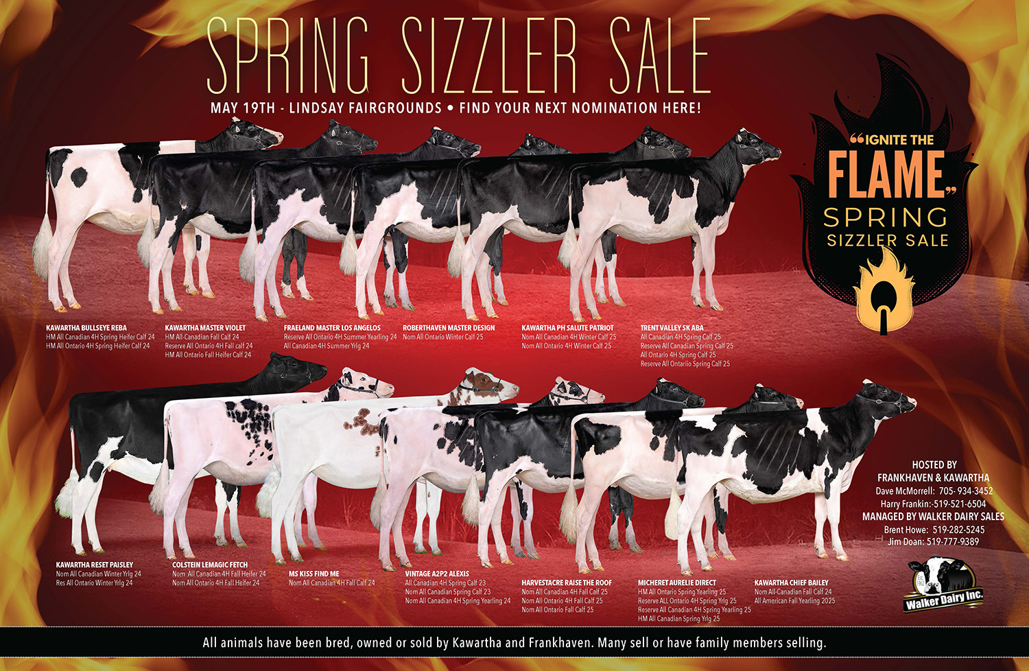 Walker Dairy sales spring sizzler sale