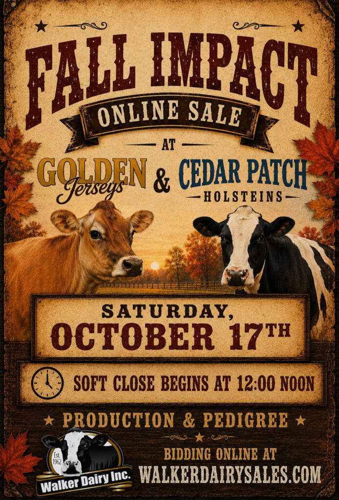 Fall Impact sale Walker Dairy Oct 17 Fall Impact sale Walker Dairy Oct 17